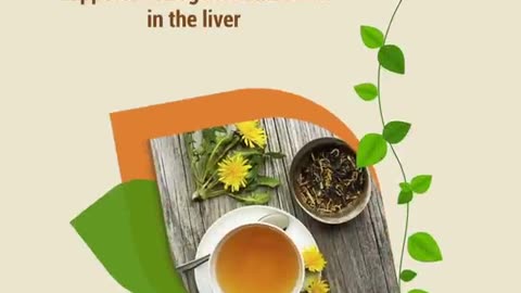 Herbal Teas to Drink for Period Health