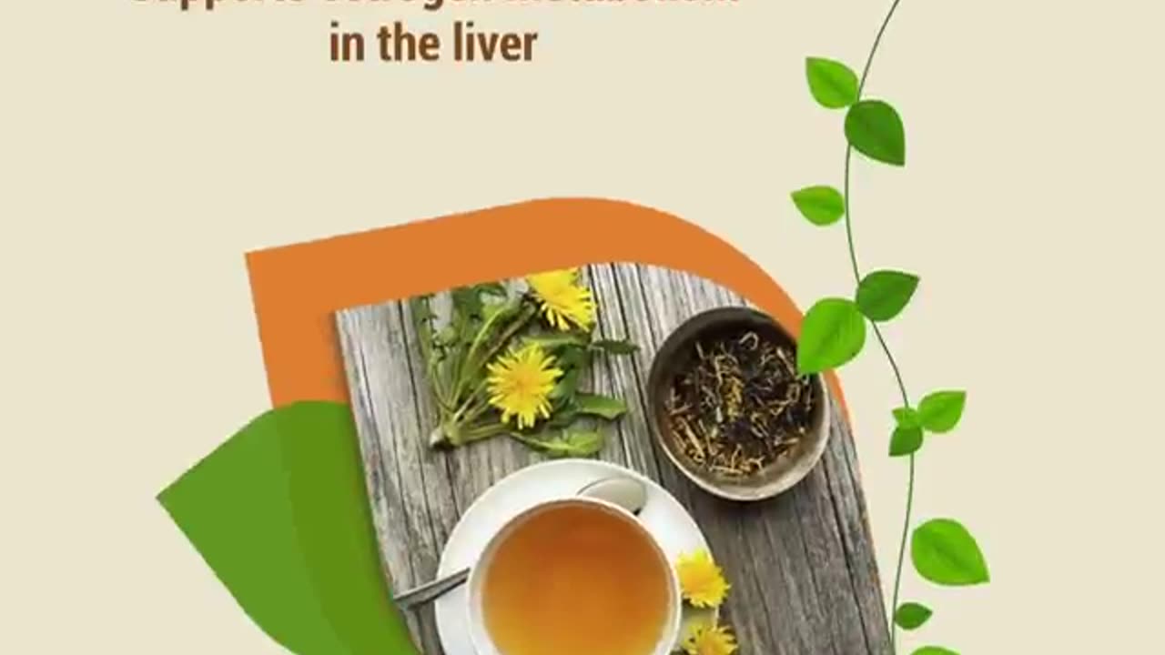 Herbal Teas to Drink for Period Health