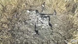 🎬🛡️ Ukraine Russia War | Russian Special Forces in Action | RCF