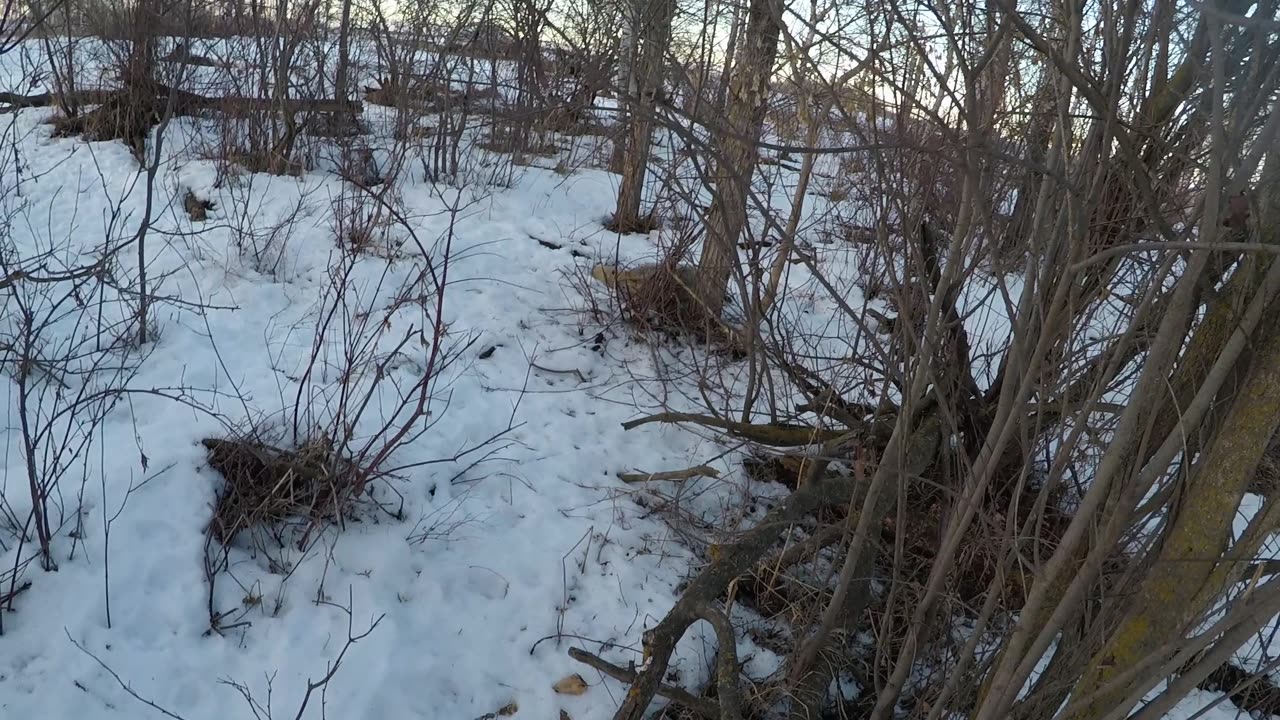 February 27, 2205 - Pulling coyote Baits