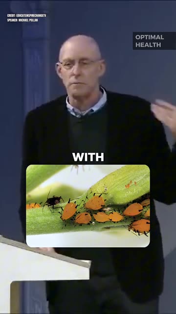 The Dark Secret Behind McDonald's Fries - Michael Pollan