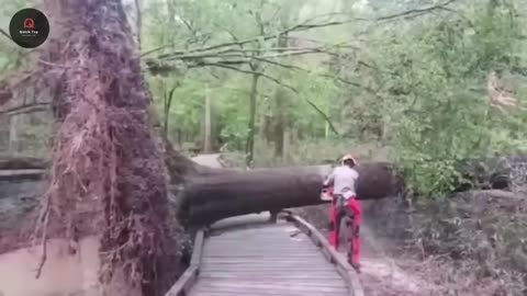 Most Unbelievable Nature Moments Ever Caught on Camera