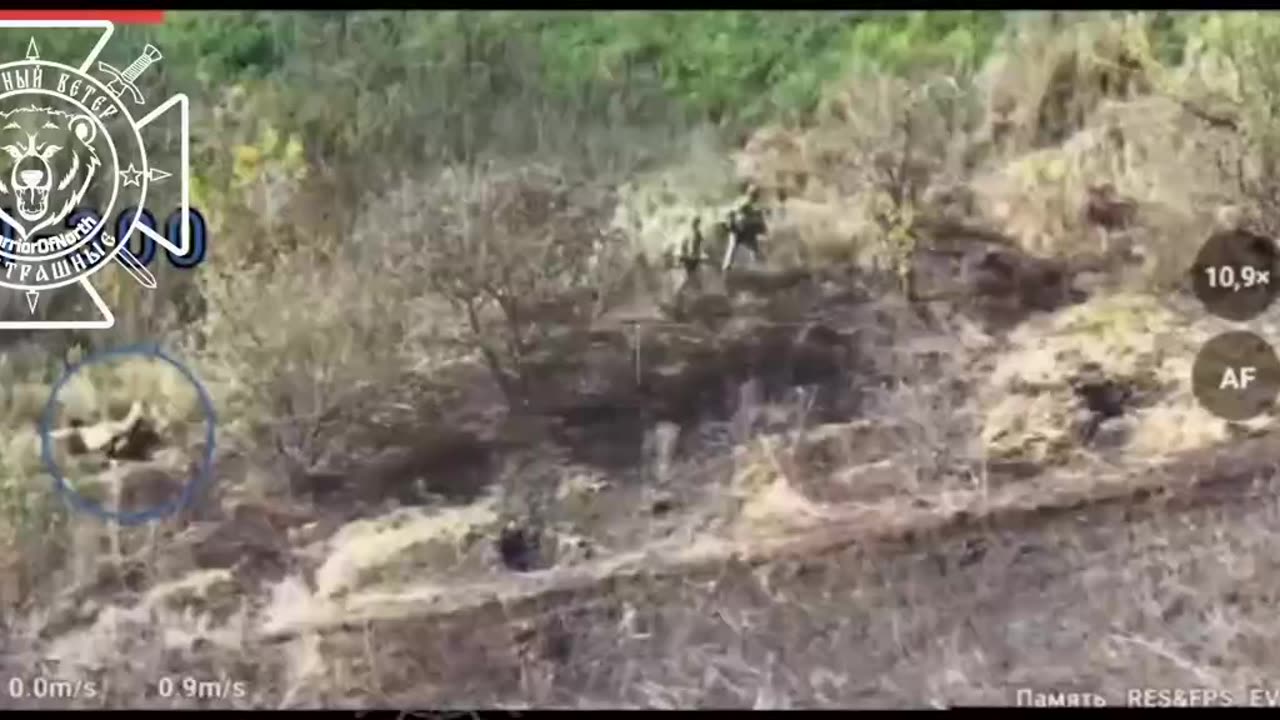 They Abandoned Their Wounded Comrade