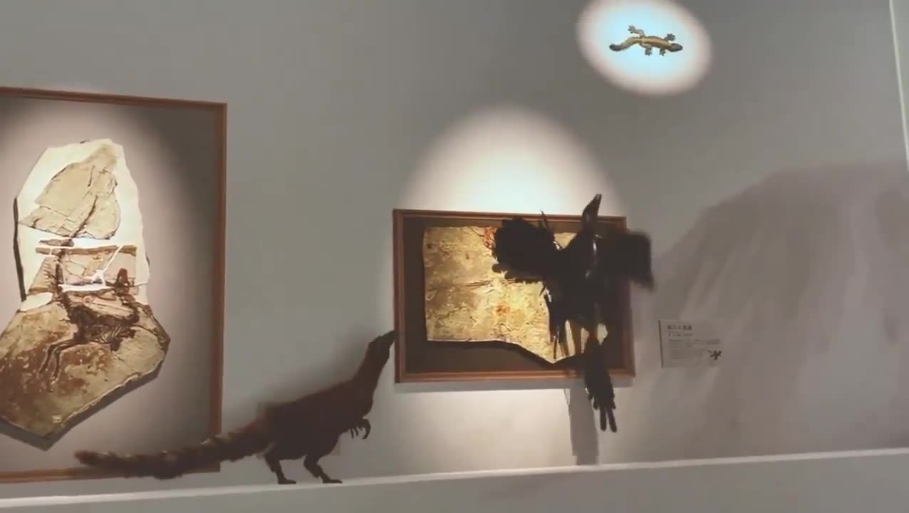 Intriguing use of projection mapping