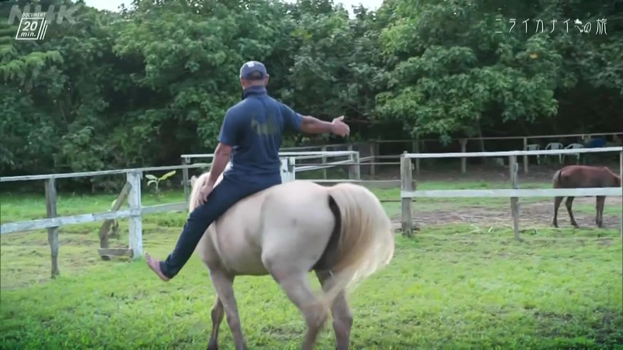 ドキュメント20min. ニライカナイへの旅
