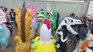 LIVE: Protest Outside Broadview ICE Facility