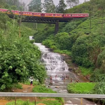 Amazing things you missed 😮🤗