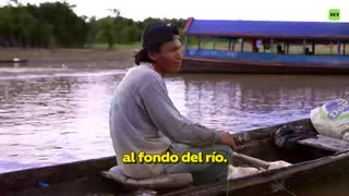 Escasez de peces y lucha por la vida en ríos amazónicos
