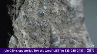 Genesis Science Report