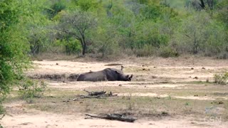 Genesis Science Report