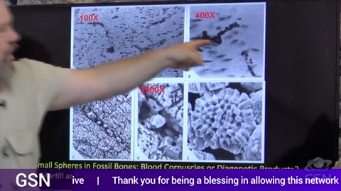 Genesis Science Report