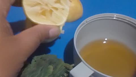 Norhing Beats Oregano