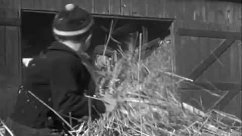 Farm Scenes - Farm Scenes - fc-fc-2525