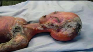 UFO Conference Trailer Tony Merkel 02