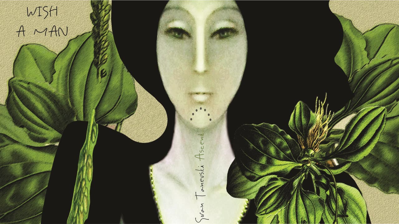 Goran Tanevski - Wish a man