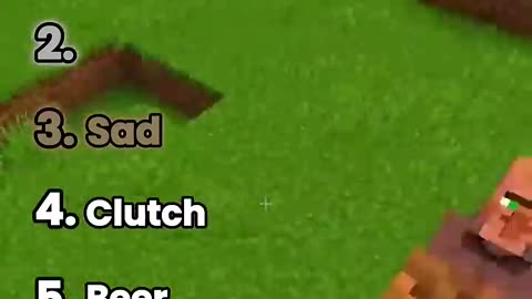 Funny Minecraft