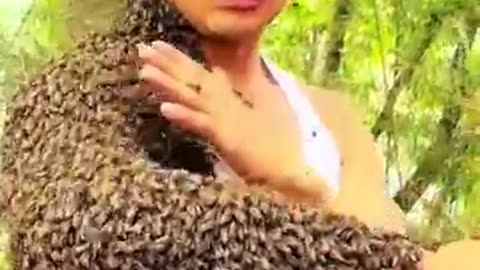 Bee man