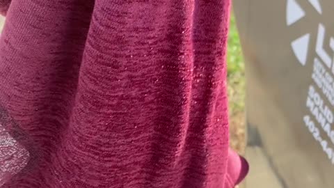 Should be worth millions