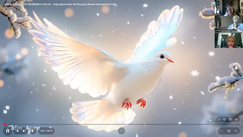 Light Practitioners World Wide Network Public Offering October 25, 2025