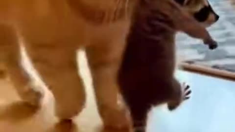 Mama will take care of you 😻💕