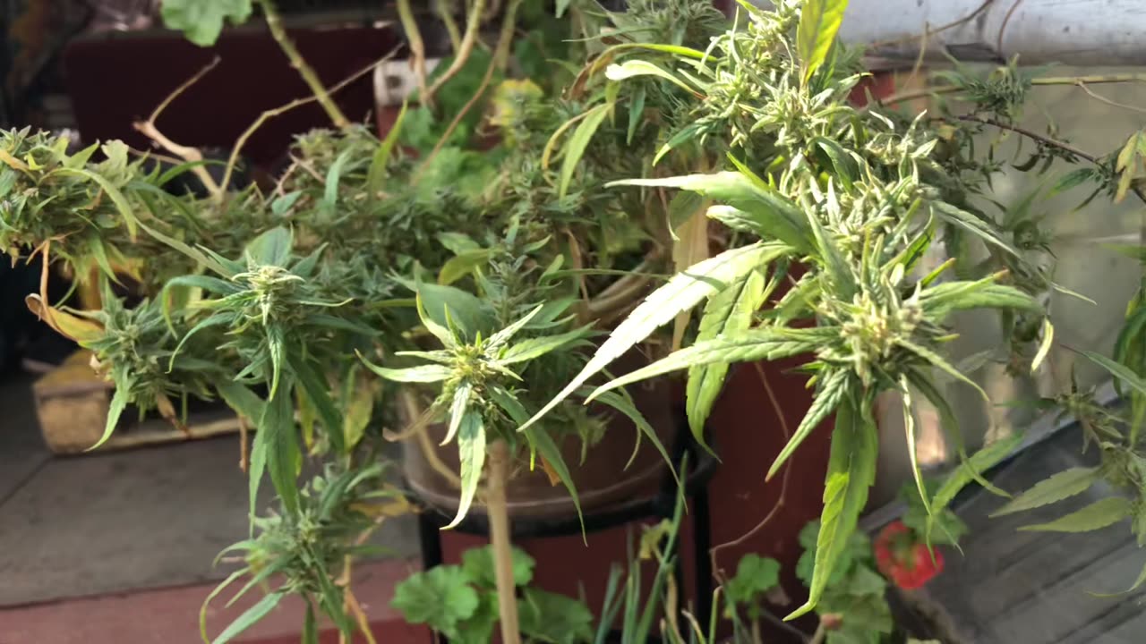 Beautiful view from heaven⛰️🌱