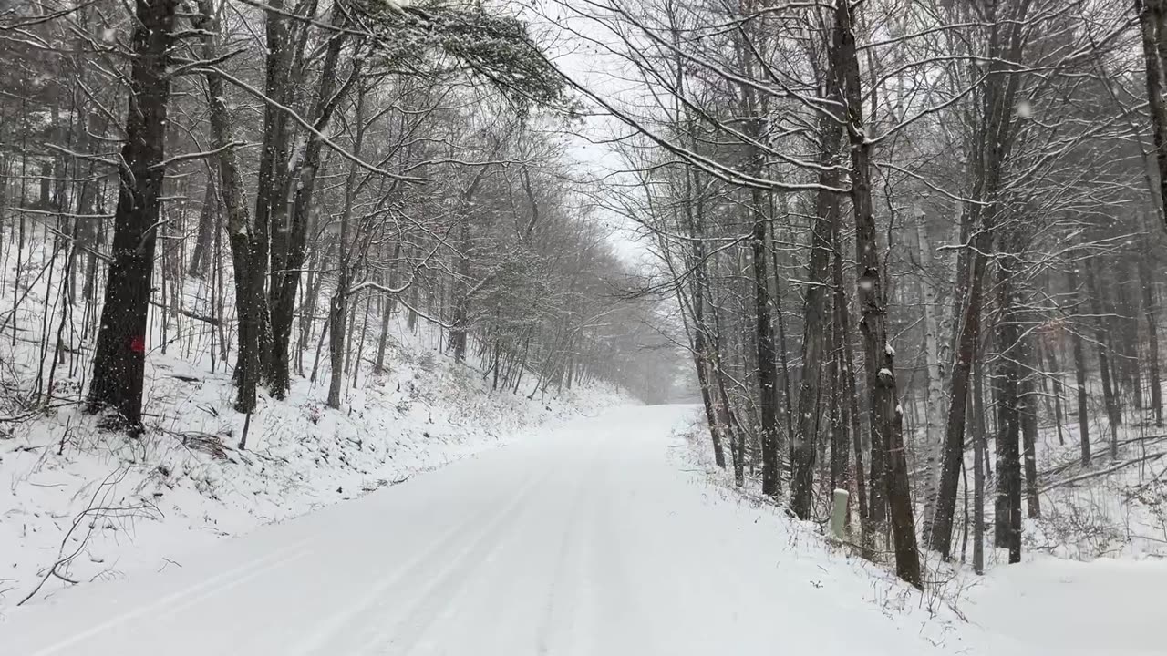 Snowy Walk