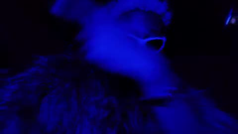 Danny Brown - Copycats ft. Underscores (Official Video)