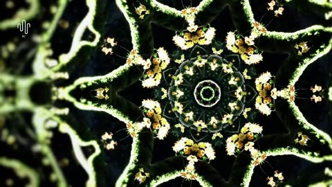 Deep Music Vibes: The Ultimate Deep House & Club Music Mix