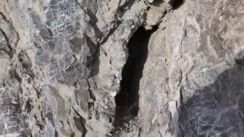 "THEY" HAVE LIED about everything!!!!!!!! #Disclosureday