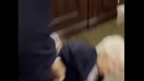 Mitch McConnell Falls Down in the Capitol Building