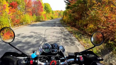 Autumn Ride with Beautiful Fall Colours (Fairbank Provincial Park)