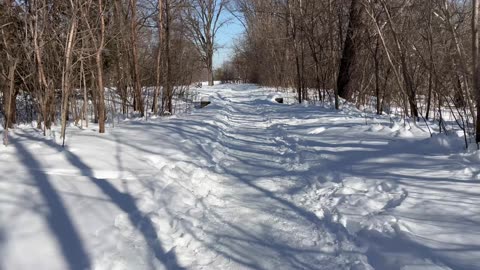 Walking in winter wonderland of Toronto