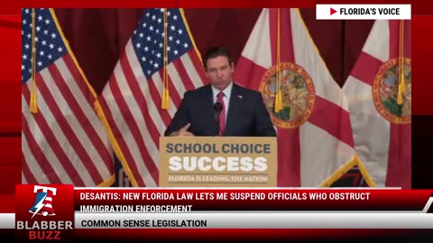 DeSantis: New Florida Law Lets Me Suspend Officials Who Obstruct Immigration Enforcement