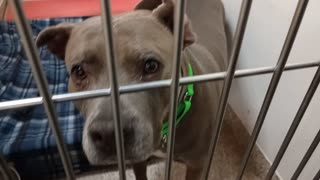 VID_20251203_164835142