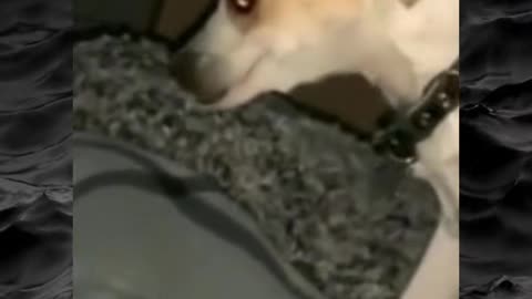 😱👻 The Scariest Clip I've Ever Seen! Creepy Paranormal Videos pt.125 | TheHauntingHour