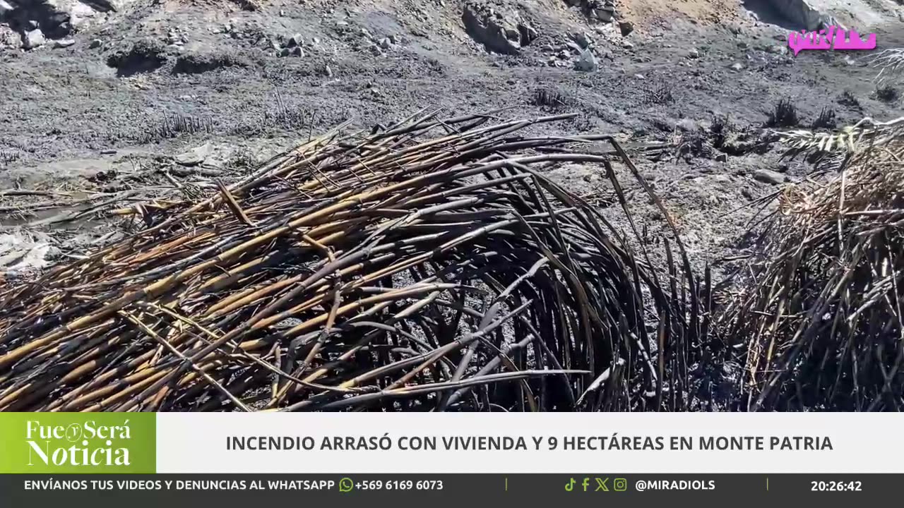 FUE Y SERÁ NOTICIA 06/10/2025