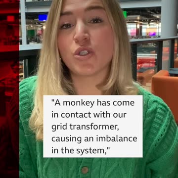 Monkey Blamed For The Power Cut Across Whole Of Sri Lanka ( South Asian Country) 😳😾