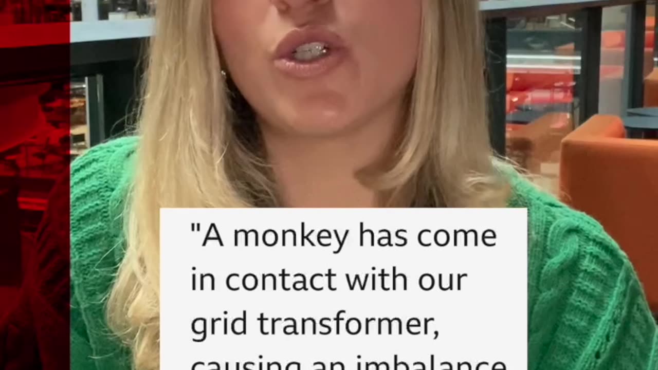 Monkey Blamed For The Power Cut Across Whole Of Sri Lanka ( South Asian Country) 😳😾