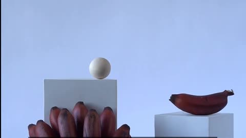 Daily Horoscope | Libra 🌟