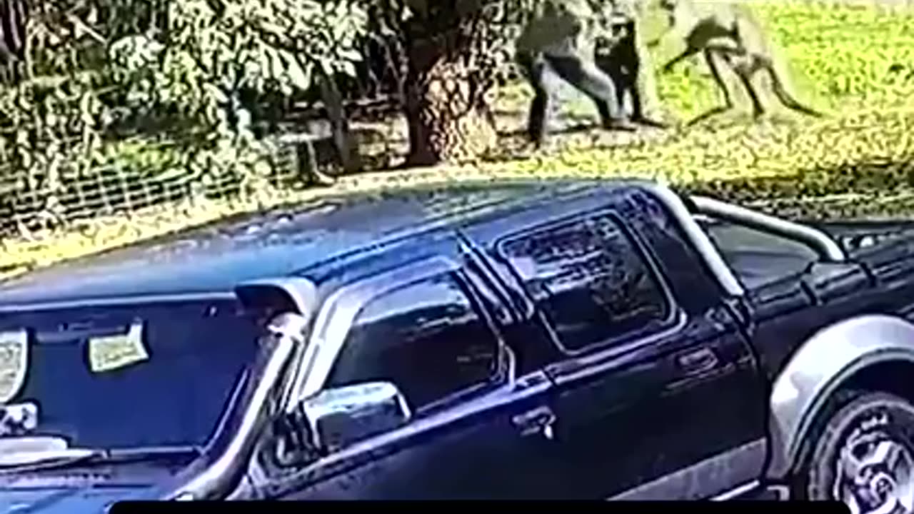 Meanwhile in Australia