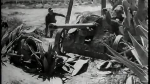 German Newsreel 661 - May 5, 1943