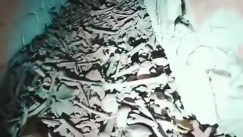 😨🔪 Exploring the Creepy Catacombs of Paris | TheHauntingHour