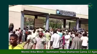 Gabaasa Addaa ONM-ABO Sadaasa 15-2025 Itti dhiyaadhaa!