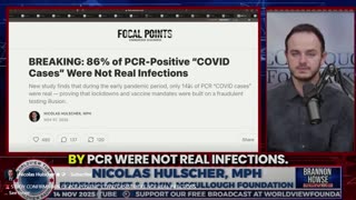 86% of PCR "Diagnosed" Covid in 2020 Due to False Positive Results | Nicolas Hulscher