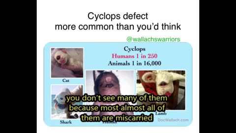 Absolute BEST of Dr- Joel Wallach - MEGA COMPILATION