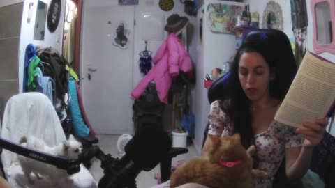 Psycoanalysis in the Habsberg Lands.. Freud , Brill & Fleck.. By Arnold D RIchards , MD