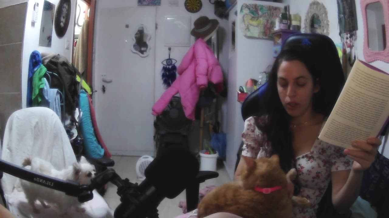 Psycoanalysis in the Habsberg Lands.. Freud , Brill & Fleck.. By Arnold D RIchards , MD