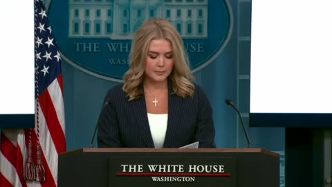 White House Press Briefing - Karoline Leavitt Reports on Illegal Alien Deportations