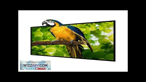 BlitzWolf® BW-VS4 100/120 inch Projection Screen White Plastic with 4K Resolution Review