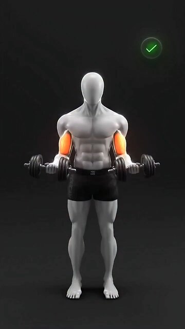 Build Stronger Biceps 💪🏻